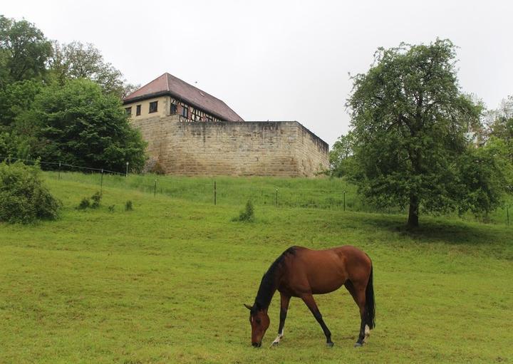 Wascherschloss