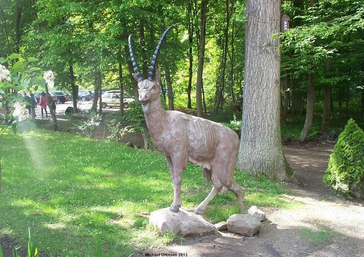 Waldgaststatte Zum Vogelpark