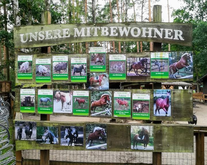 Gasthaus Waldkater